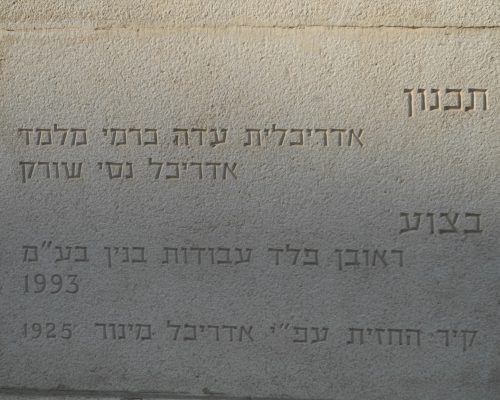 אחד העם 35.8